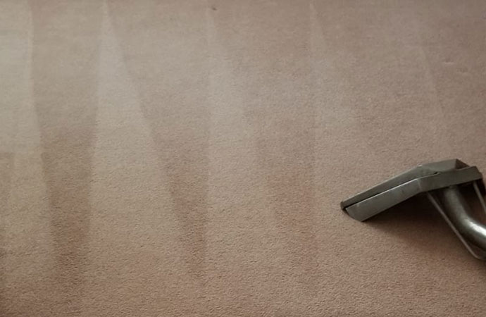 How often should I have my carpets cleaned?