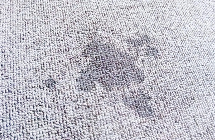  Carpet Stain